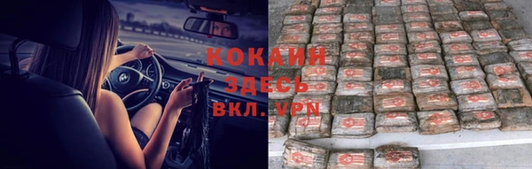 молекула духа Ладушкин