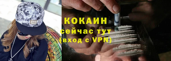 гидра Кукмор