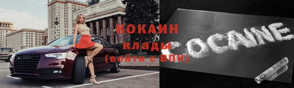 молекула духа Ладушкин