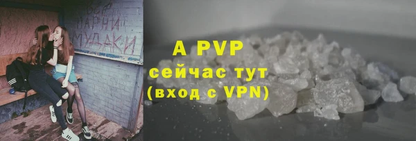 СК Куйбышев