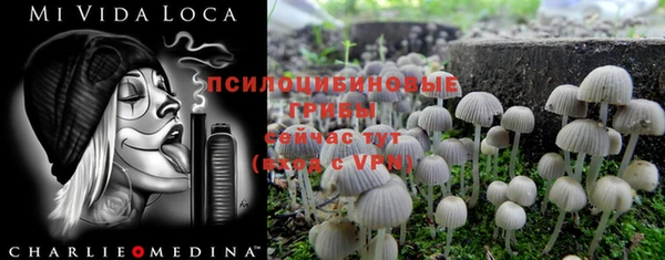 гидра Кукмор