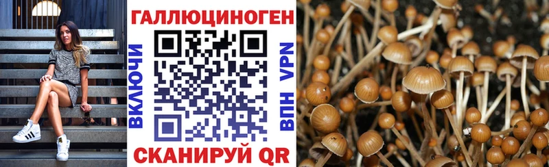 Псилоцибиновые грибы Magic Shrooms  дарнет шоп  Сольвычегодск 